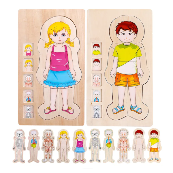 Girls&Boys Pattern 5 Layers Wooden Body Structure Jigsaw Puzzles