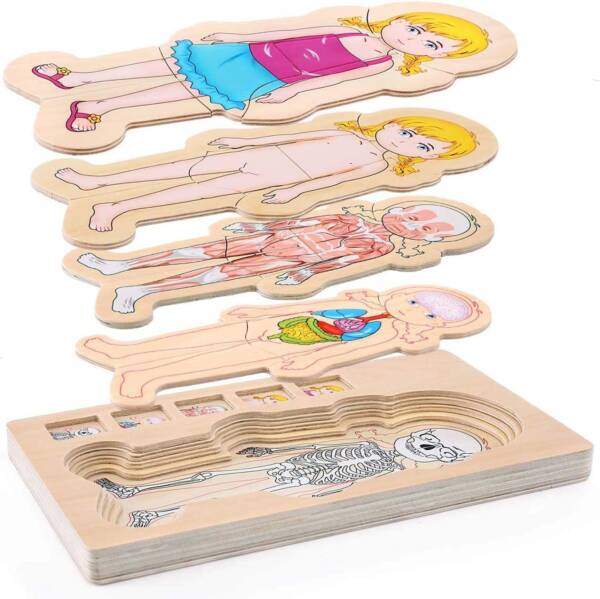 Girls&Boys Pattern 5 Layers Wooden Body Structure Jigsaw Puzzles - 图片 5