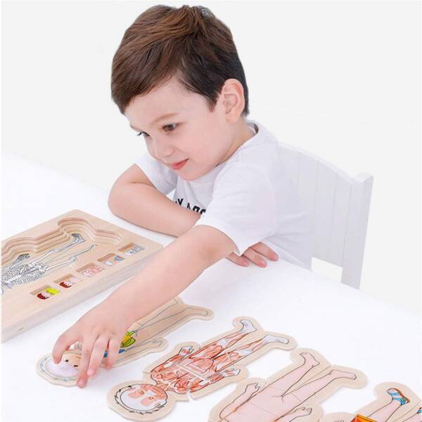 Girls&Boys Pattern 5 Layers Wooden Body Structure Jigsaw Puzzles - 图片 2