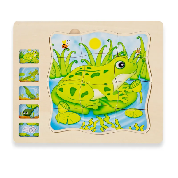 Wooden 5 Layers Butterfly&Frog Growth Process Life Cycle Puzzles - 图片 2