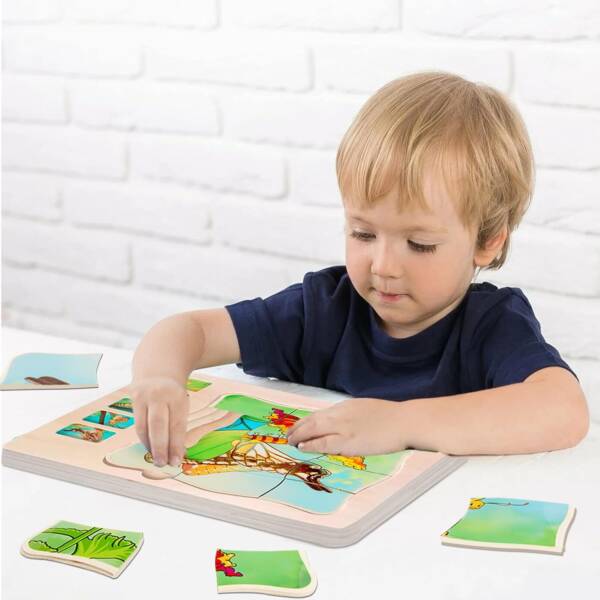 Wooden 5 Layers Butterfly&Frog Growth Process Life Cycle Puzzles - 图片 3