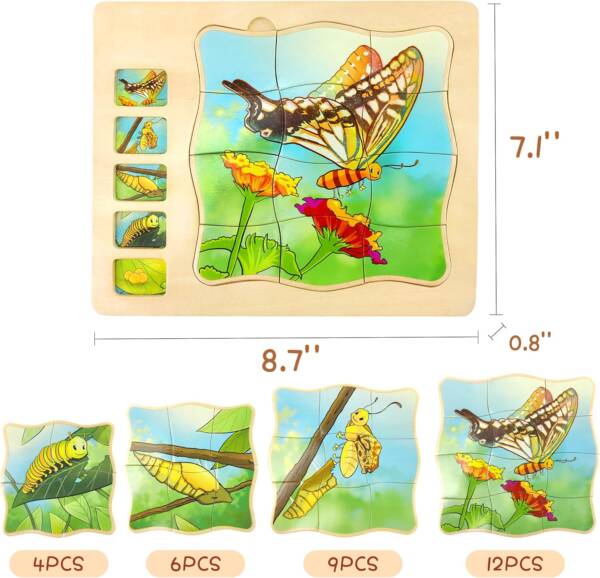 Wooden 5 Layers Butterfly&Frog Growth Process Life Cycle Puzzles - 图片 4